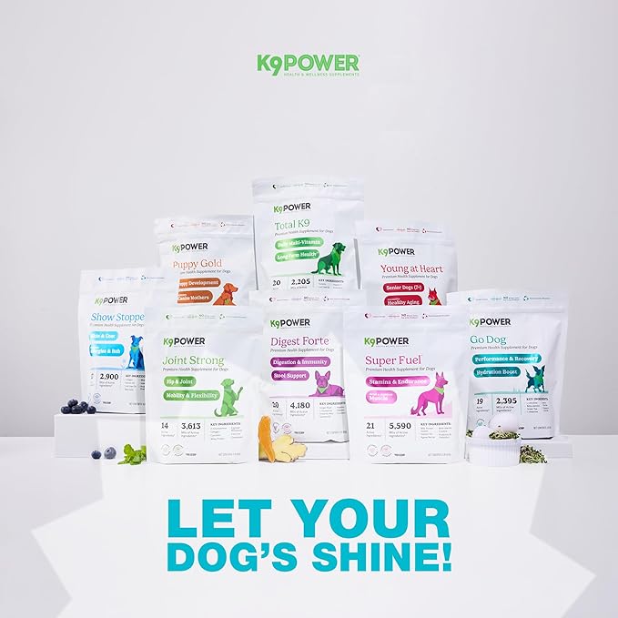 K9 Power Go Dog Hydration & Performance Drink Mix 1 lb - Active Dog Supplement for Muscle Function, Endurance, Recovery, with Electrolytes Support-Mewly Pet