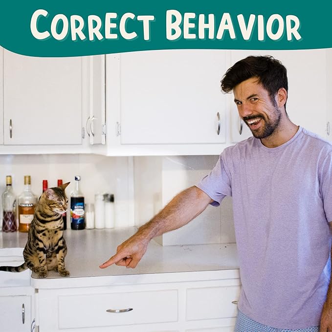 The Click Crusade (Cat Training Card Game Guide to Clicker Training for Cats for Teaching Tricks, Improving Communication and Bonding with Your Kitten (Clicker not Included)-Mewly Pet