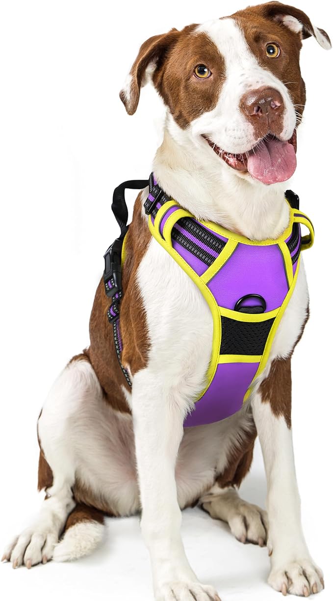 rabbitgoo Dog Harness No Pull with 2 Leash Clips, Adjustable Soft Padded, Reflective Oxford No Choke Pet Vest with Easy Control Handle for Large Dogs, Purple & Yellow, L-Mewly Pet