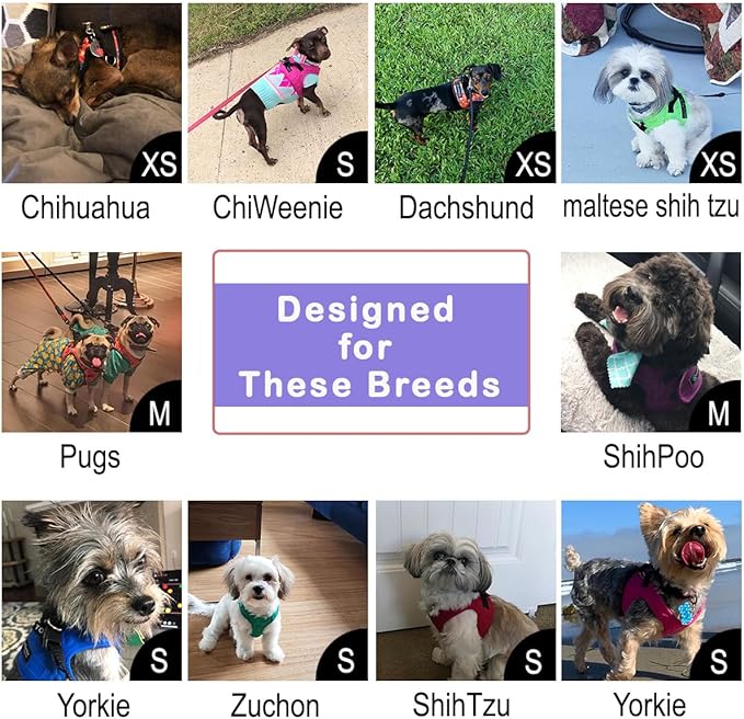 Comfort Fit Dog Harness – Adjustable No-Pull Vest for Small, Medium & Large Dogs – Soft Padded Step-in Design for Easy Control – Ideal for Walking, Running & Training – All-Weather Premium Dog Vest-Mewly Pet