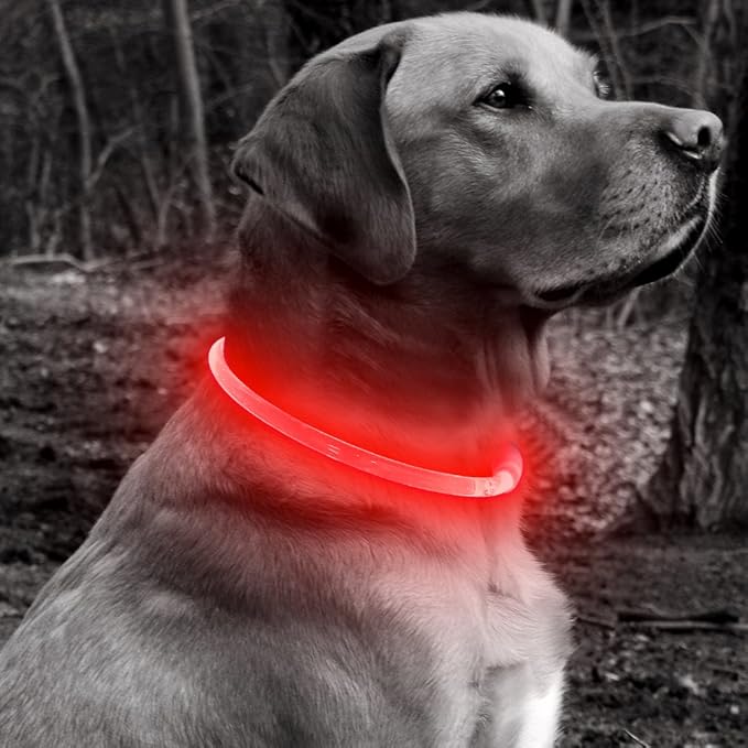 BSEEN Light Up Dog Collar - Rechargeable LED Dog Collar - 360° Glow in The Dark Pet Collar for Small Medium Large Dogs, TPU Cuttable Puppy Collar Safety Dog Lights for Night Walking (Red 70cm)-Mewly Pet