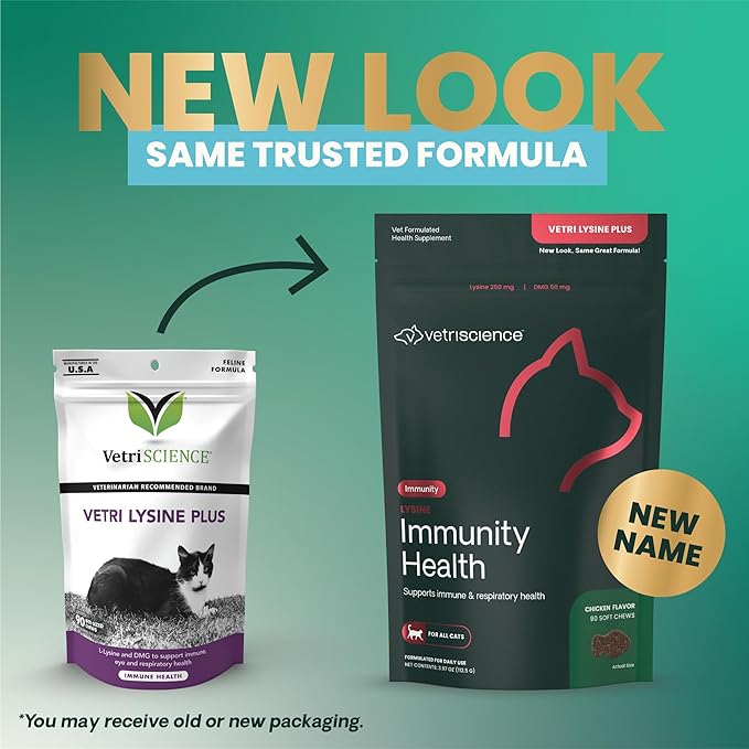VetriScience Lysine Immunity Health Chews, 250 mg Lysine Plus Immune Supplement for Cats and Kittens with Allergies, Sneezing, Runny Nose and Watery Eyes, Chicken, 90 Count-Mewly Pet