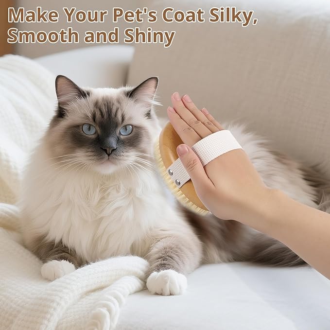 Boar Bristle Cat Brush for Indoor Cats, Cat Hair Brush Gentle Grooming, Reduce Shedding, Soft Hair and Healthy Shine, Bamboo Handheld with Soft Boar Bristles and Band for Short Haired Cats Dogs-Mewly Pet