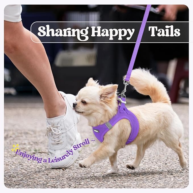 rabbitgoo Dog Harness Small Sized and Leash Set, Step in Soft Light Puppy Vest, Breathable Mesh Pet Harness, Reflective for Outdoor Safe Walking, Purple XXL-Mewly Pet