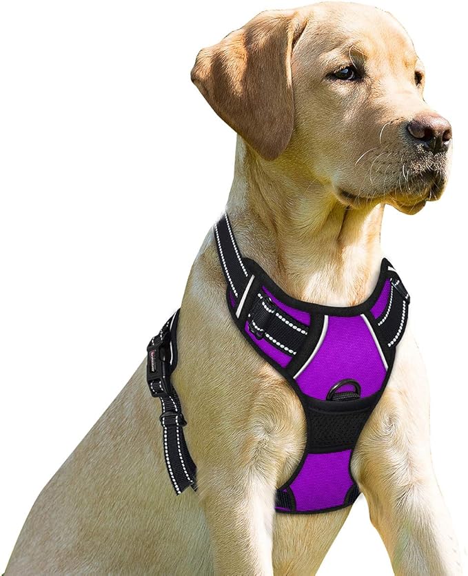 BARKBAY No Pull Dog Harness Front Clip Heavy Duty Reflective Easy Control Handle for Large Dog Walking(Purple,L)-Mewly Pet