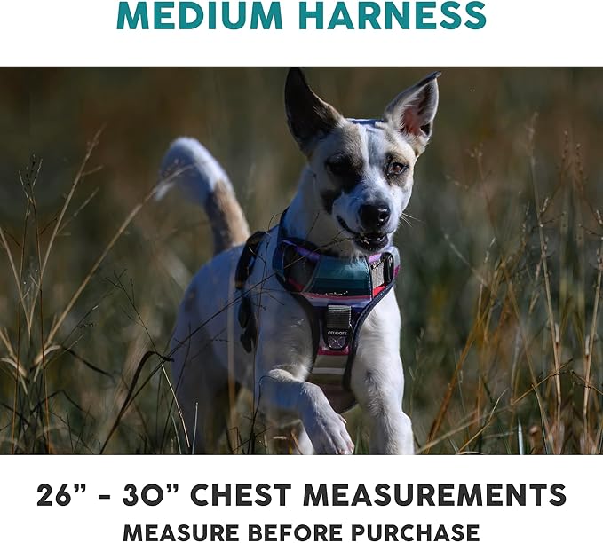 Embark Adventure Dog Harness, Reflective Trim No Pull Harness for Medium Sized Dog - Military Grade Nylon, Front Clip with Gel Lined Handle. Soft & Padded Puppy-Mewly Pet