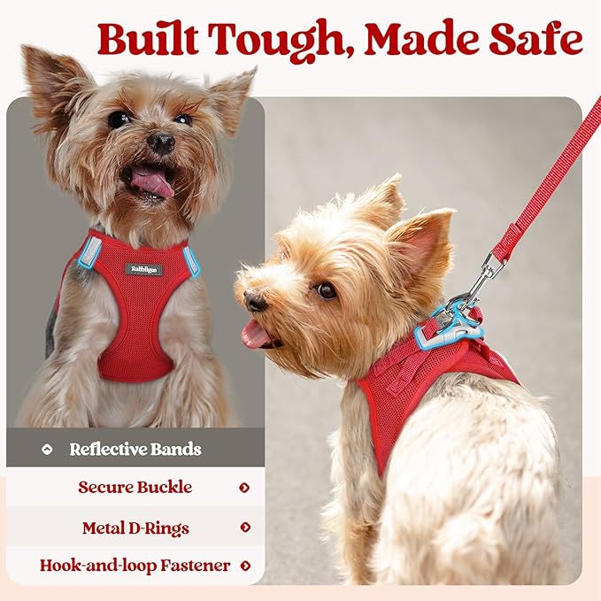 rabbitgoo Dog Harness Small Sized and Leash Set, Step in Soft Light Puppy Vest, Breathable Mesh Pet Harness, Reflective for Safe Easy Walking, Red XS-Mewly Pet