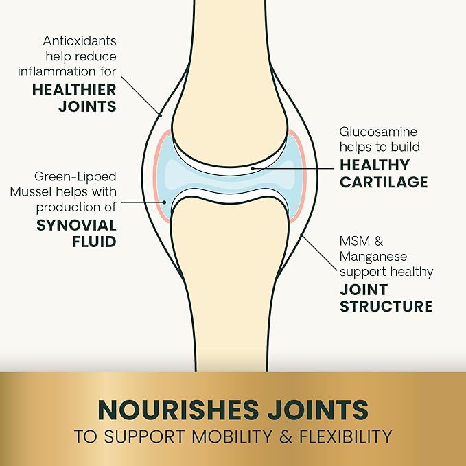 VetriScience Ultimate Strength Healthy Hip & Joint Chewable Tablets, GlycoFlex Glucosamine, Chondroitin and Green-Lipped Mussel Joint Supplement for Dogs, Soothe Joint Discomfort, Chicken, 120 Count-Mewly Pet
