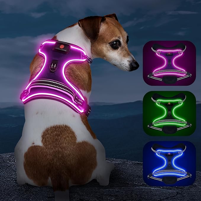 Light Up Dog Harness, No Pull LED Dog Harness with Handle, Rechargeable Lighted Safety Vest for Small Medium Large Dogs, Adjustable Soft Dog Lights for Night Walking-Mewly Pet
