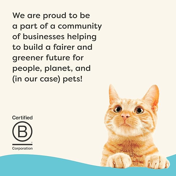 Applaws Vitality Wet Cat Food Paté, Natural Canned Cat Food, Wet Food for Cats with Added Vitamins and Minerals, Grain Free, Carrageenan Free, Tuna Fillet (24 Count, 5.5oz Cans)-Mewly Pet