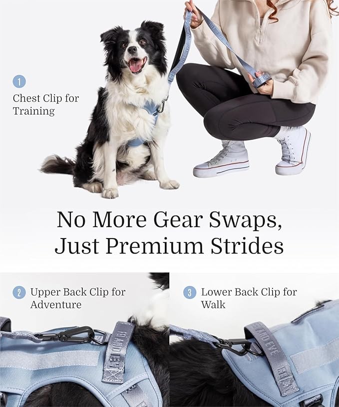 2025 New Edition, Fei & Eve MagEase Dog Harness - 3-Second Magnetic Buckles | 3-Point No-Pull Control | Heavy-Duty 900D Nylon | Dual Safety Handles | Breathable Mesh | Adjustable Fit |Small, Blue-Mewly Pet