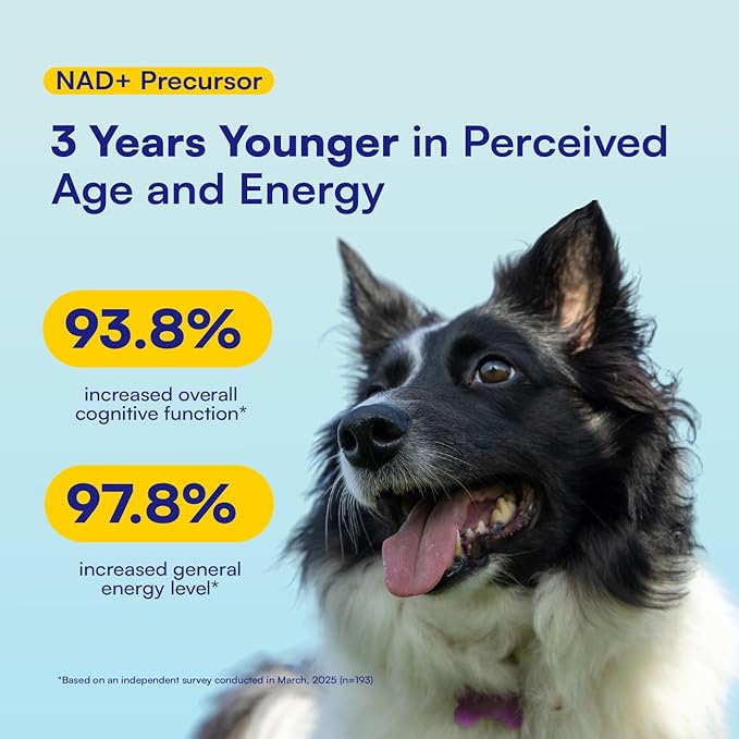 NAD+ Precursor & Senior Dog Supplement - 90 Soft Chews & Vitamins - NMN Alternative for Longevity, Anti-Aging & Energy - Nicotinamide Riboside, Resveratrol, Quercetin, Made with Pasture-Raised Chicken-Mewly Pet