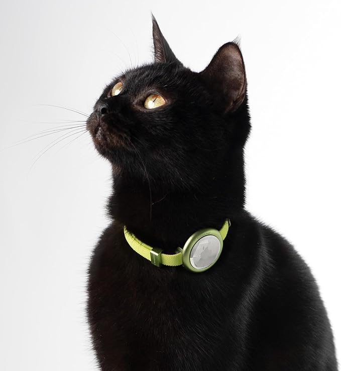 Safety Cat Collar Pro - U.S. IDA Gold Awarding Design, Elastic Quick Release Cat Collar with Buckle Non Breakaway - Lightweight for Kitten All Small Large Cats (Lime Green, S 5.9-11.8")-Mewly Pet