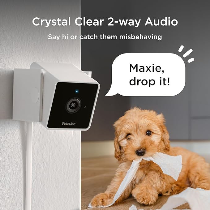 Petcube Cam The Pack of 2 | Indoor Wi-Fi Pet Security Camera with Phone App, 2-Way Audio and Video, Night Vision, 1080p HD Video and Smart Alerts-Mewly Pet