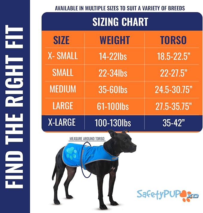 Dog Reflective Vest – Hi-Vis Fluorescent Visibility That Helps to Safeguard Your Pet On/Off Leash in Urban & Rural Areas (Blue, X-Large)-Mewly Pet