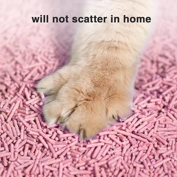 Cat Litter 12LB/2 Packs Dust-Free Clumping Tofu Cat Litter Quickly Absorb Odors Toilet Can Flush Into The Toilet Pure Natural tofu cat Litter (Peach)-Mewly Pet