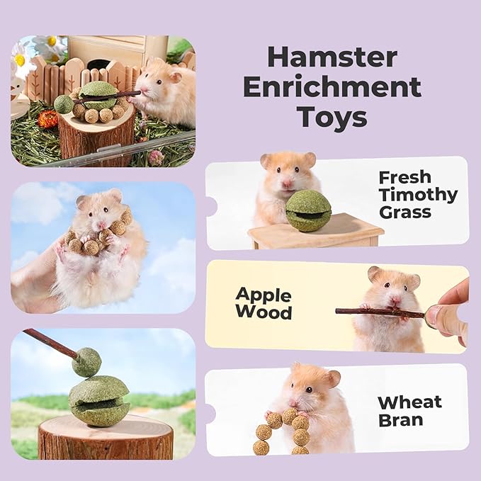 mini&moe Hamster Chew Toys for Teeth – Guinea Pig Chew & Treats Natural Edible Apple Wood Sticks Improve Dental Health Hamster Enrichment Toys for Rabbit, Bunny, Chinchilla, Gerbils, Rat-Mewly Pet