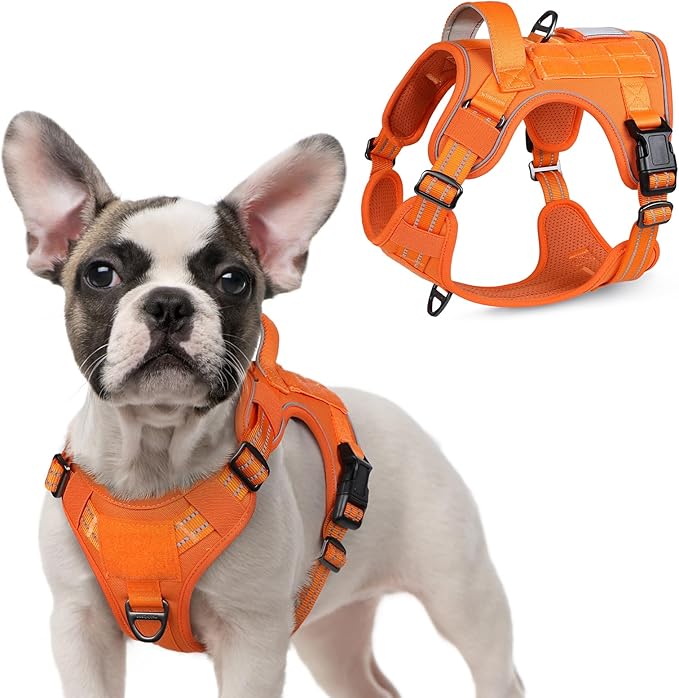 rabbitgoo Tactical Dog Harness for Small Dogs, No Pull Military Service Vest with Handle & Molle, Easy Control for Training Walking, Adjustable Reflective Straps, Orange, S-Mewly Pet