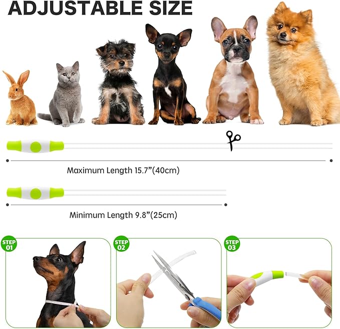 BSEEN Light Up Dog Collar - Rainproof Rechargeable LED Dog Collar - TPU Cuttable Glowing Pet Collar for Small Dogs& Cats - Puppy Safety Dog Lights for Night Walking (XS- Green 40cm)-Mewly Pet