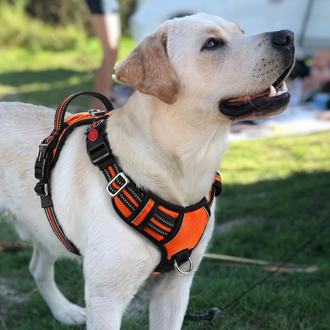 rabbitgoo Dog Harness for Large Dogs, No Pull Pet Vest with 3 Buckles, Adjustable Soft Padded Pet Harness with Easy Control Handle and Reflective Strips, Orange, L-Mewly Pet