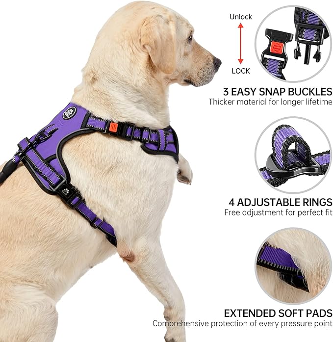 NESTROAD No Pull Dog Harness,Adjustable Oxford Dog Vest Harness with Leash,Reflective No-Choke Pet Harness with Easy Control Soft Handle for Small Dogs(Small,Purple)-Mewly Pet
