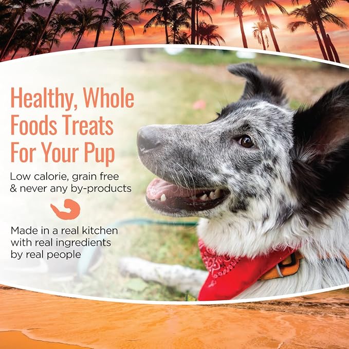 Smart Cookie All Natural Dog Treats - Shrimp & Coconut - Training Treats for Dogs with Allergies, Sensitive Stomachs - Soft Dog Treats, Chewy, Grain Free, Human-Grade, Made in USA - 5oz, Pack of 3-Mewly Pet