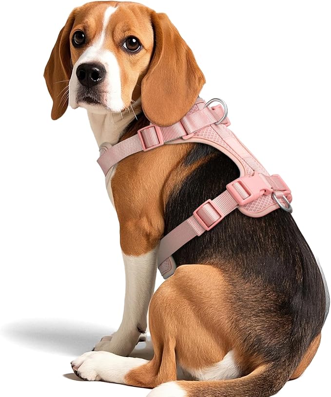 Wisedog Mesh Breathable Dog Harness: No Pull Harness with 3 Fast-Release Buckles Adjustable for Walking & Training for Small Medium Large Dogs (Pink, S: Neck=14"-19"/Chest=13"-24")-Mewly Pet