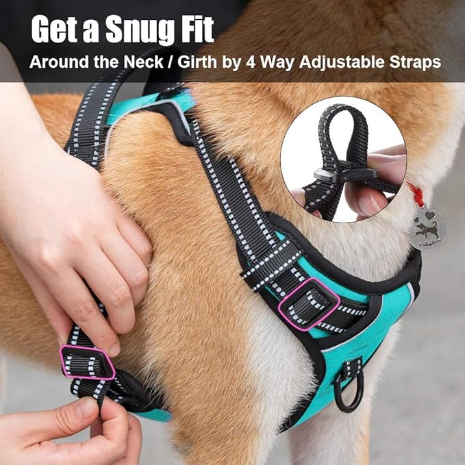PoyPet No Pull Dog Harness, Reflective Comfortable Vest Harness with Front & Back 2 Leash Attachments and Easy Control Handle Adjustable Soft Padded Pet Vest for Small to Large Dogs (Mint Blue,XS)-Mewly Pet
