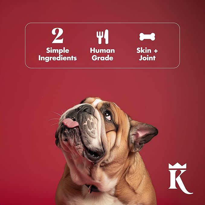 King Lou Pets + BK Pets - Bone Broth Booster Holistic Defense - Beef Bone Broth Topper - Beef Bone Broth and Turkey Tail Mushroom - Bone Broth for Holistic Immune Defense - Dogs and Cats Bone Broth-Mewly Pet