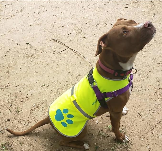 Dog Reflective Vest – Hi-Vis Fluorescent Visibility That Helps to Safeguard Your Pet On/Off Leash in Urban & Rural Areas (Yellow, Large)-Mewly Pet