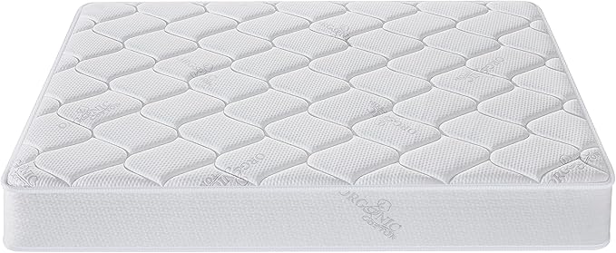 Queen Size Mattress - 10 Inch Cool Memory Foam & Spring Hybrid Mattress with Breathable Cover - Comfort Plush Euro Pillow Top - Rolled in a Box - Oliver & Smith