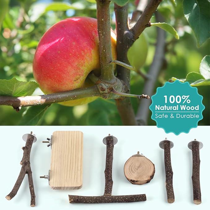 Bird Perches, 6 Pcs Natural Wood Parrot Perch Stand Chew Toys, Hanging Multi-Branch Parrot Perch Platform Swing Toy Cage Accessories for Small Parakeets, Budgies, Lovebirds, Canaries, Finches-Mewly Pet