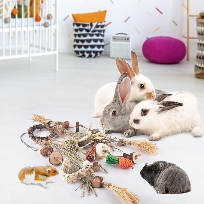 Bissap Bunny Chew Toy, Rabbits Cage Hanging Chew Toys and Treats Rattan Ring with Snacks Water Grass Wooden Block Carrot for Guinea Pigs Chinchillas Hamsters Rats and Other Small Pets Teeth Grinding-Mewly Pet