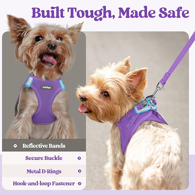 rabbitgoo Dog Harness Small Sized and Leash Set, Step in Soft Light Puppy Vest, Breathable Mesh Pet Harness, Reflective for Safe Outdoor Walking, Purple S-Mewly Pet