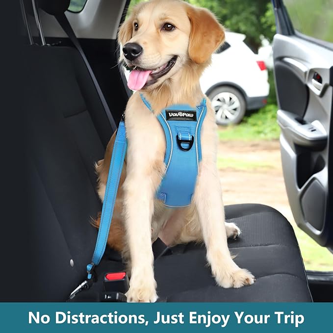 Dog Seat Belt Harness for Car, Dog Car Harness Adjustable Mesh Breathable & Dogs Seatbelt Safety Tether with Elastic Bungee for Small Medium Large Pets(Blue, S)-Mewly Pet