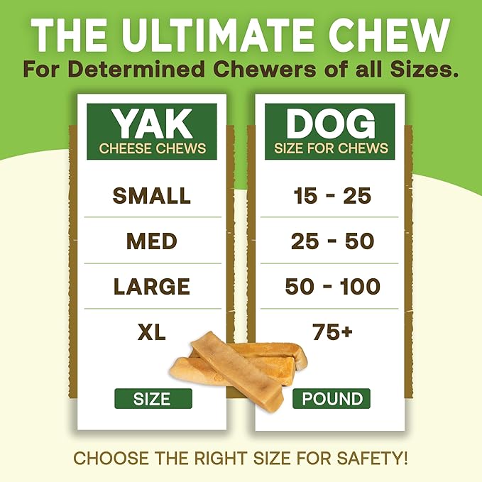 EcoKind Premium Gold Yak Cheese Himalayan Dog Chews, Dog Treats Large Breed, All Natural, High Protein, for Aggressive Chewers, Large - 5 Chews-Mewly Pet