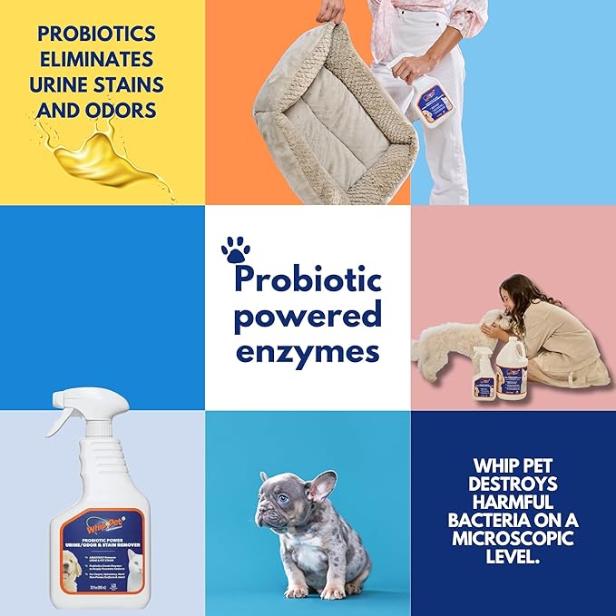 Whip-Pet Pet Odor Eliminator and Stain Remover -Professional Strength Enzymatic Cleaner for Dog Urine and Carpet Odor Eliminator - Pet Odor Remover, 32OZ-Mewly Pet