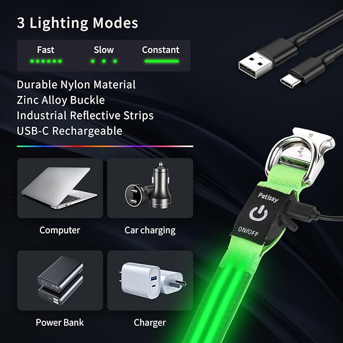 LED Dog Collar with Metal Buckle - USB Rechargeable Glow Collar for Dogs, Waterproof Light Up Dog Collar w/Reflective Strips - Adjustable Night Safety Collars by PetIsay(Green,Large)-Mewly Pet