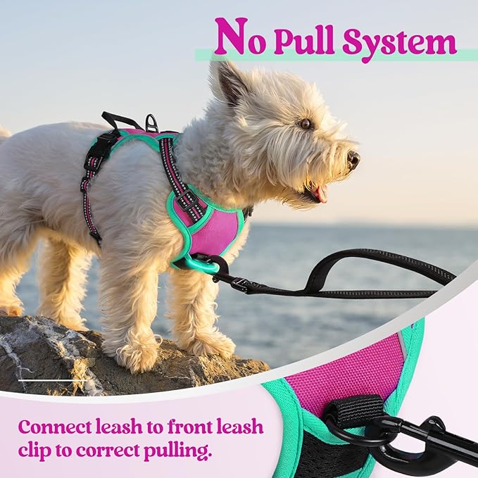 rabbitgoo Dog Harness No Pull with 2 Leash Clips, Adjustable Soft Padded, Reflective Oxford No Choke Pet Vest with Easy Control Handle for Large Dogs, Hot Pink & Turquoise, XS-Mewly Pet
