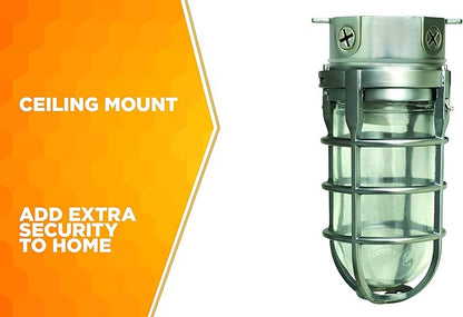 Woods L1706 Vandal Resistant Security Light With Ceiling Mount (150W Incandescent Bulb; Silver)