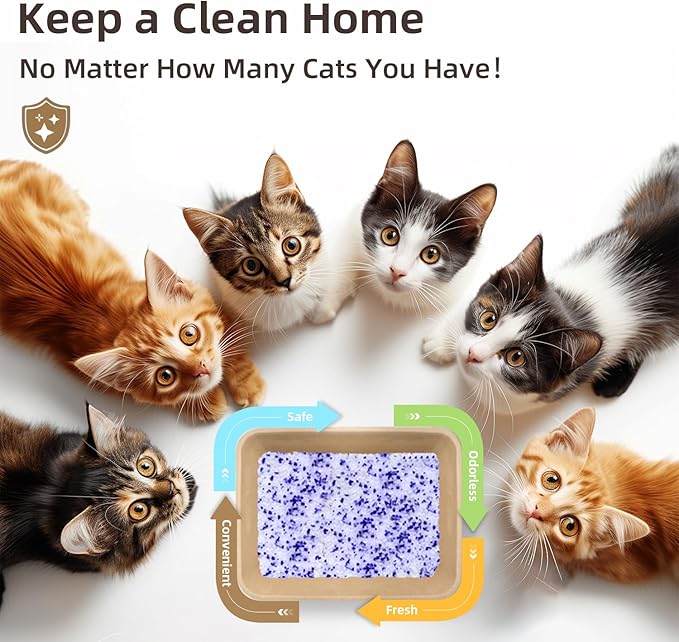 LaSyL Premium Crystal Cat Litter - 34.4 lb, Four Months Lasting - Superior Odor Control & Absorption, Non-Clumping, Low Tracking Silica Gel Safe for Pet, White & Blue (8 Bags of 4.3 lb)-Mewly Pet