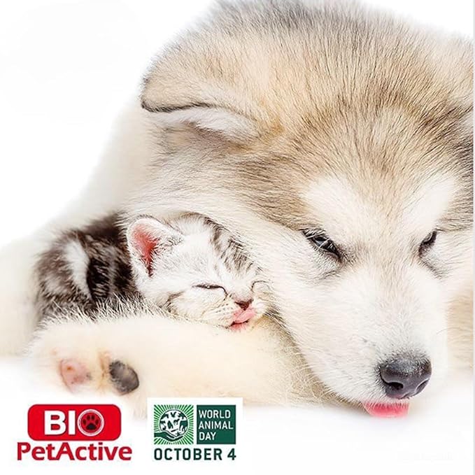 Bio Pet Active Kitten Milk Replacer - Easy-to-Digest Milk Powder with Vitamins, Minerals and Taurine for Kittens and Mothers, 7.05 oz-Mewly Pet