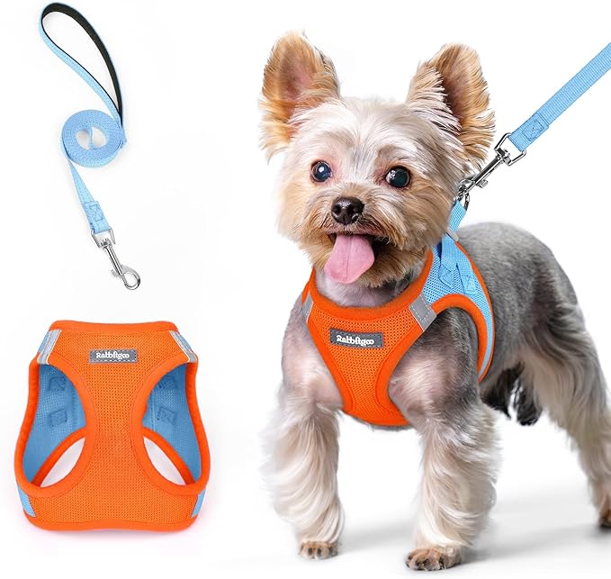 rabbitgoo Dog Harness Small Sized and Leash Set, Step in Soft Light Puppy Vest, Breathable Mesh Pet Harness, Reflective for Safe Easy Walking, Blue & Orange XS-Mewly Pet