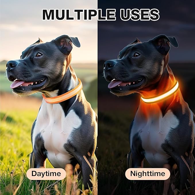 PcEoTllar Light up Dog Collar for Night Walking - LED Dog Collar Light Rechargeable Color Changing, Glow in The Dark Dog Collars Waterproof Glowing Dog Collars for Large Small Medium Dogs-Mewly Pet