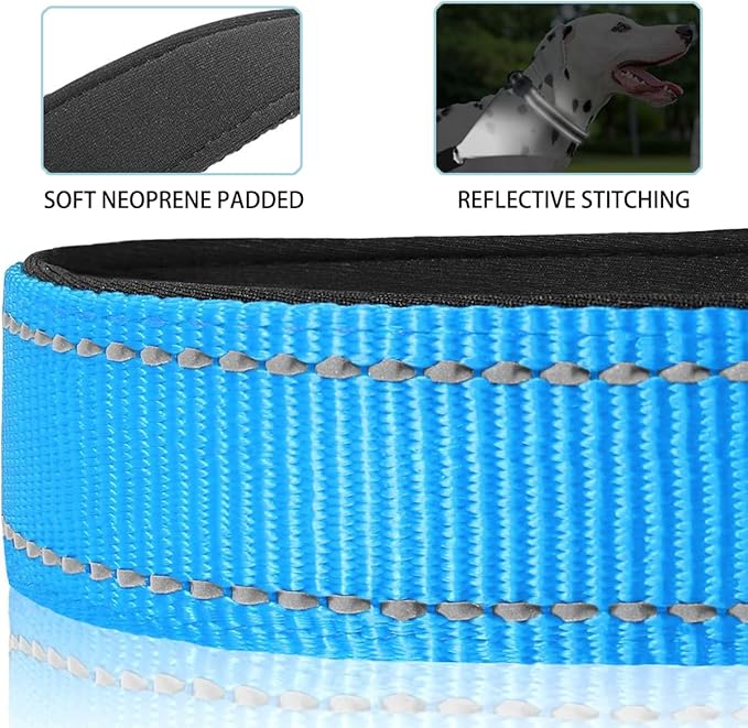 JSXD AirTag Dog Collar, Night Reflective Nylon Dog Collar for Small Medium Large Dogs,Lockable Quick Release Buckle,Padded Breathable Pet Collar with AirTag Holder (Blue, Large)-Mewly Pet