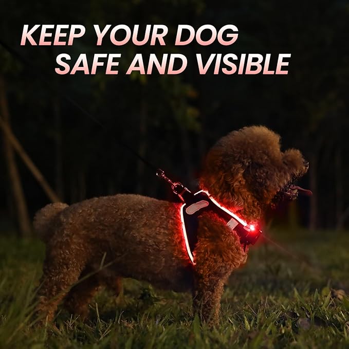 PceoTllar Light Up Dog Harness, LED No Pull Reflective Dog Harness, Flashing Lighted for Night Walking - Small/Medium, (Black Red,m)-Mewly Pet