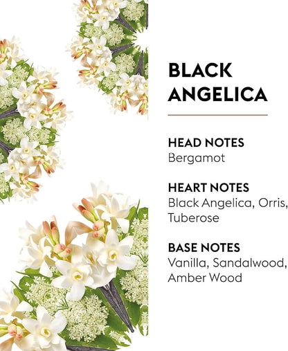 Maison Berger - Black Angelica - Lampe Berger Fragrance Refill Oil for Home Diffusers - Luxury Air Freshener with Bergamot, Tuberose & Vanilla Notes - 16.9 Fl Oz (500ml)
