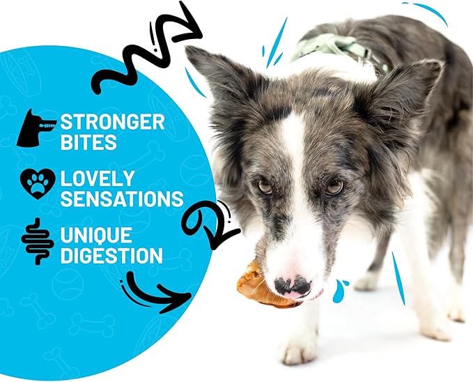 Sitka Farms Beef Knee Caps Smoked Premium Dog Bones - 25 Count - 100% Natural Long Lasting and Meaty Dog Treats Bones for Aggressive Chewers - for Small, Large and Medium Breed Dogs-Mewly Pet