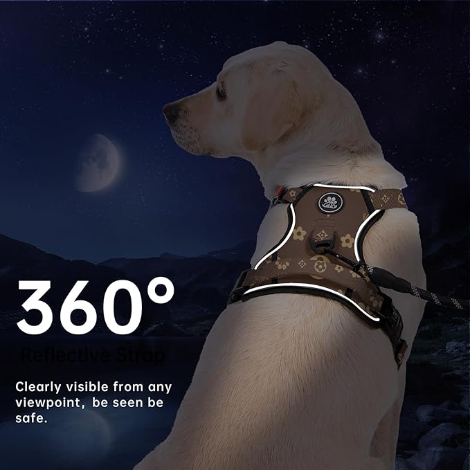 IVY&LANE No Pull Dog Harness with Leash Set, Reflective No Choke Pet Vest,Adjustable Oxford Dog Vest Harness with Easy Control Handle for Medium Dogs (Dark Brown,M)-Mewly Pet