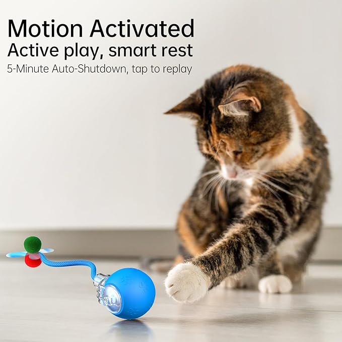Interactive Cat Toy Ball- 2025 Smart Rolling Cat Toy with Shiny Tail, Motion Activated Boredom Relief for Indoor Cats, USB Rechargeable & Obstacle Avoidance-Mewly Pet